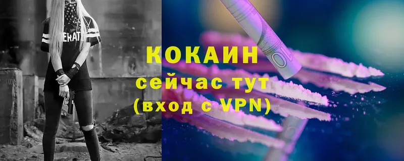 даркнет сайт  Тара  Cocaine Эквадор 