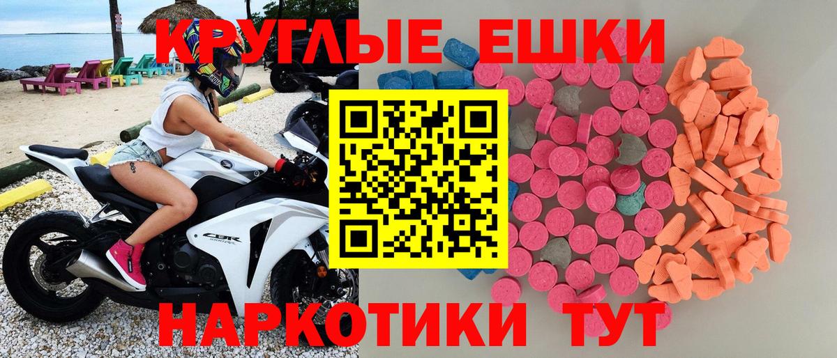 Ecstasy Philipp Plein  Вход с VPN  Тара  ЭКСТАЗИ бентли 