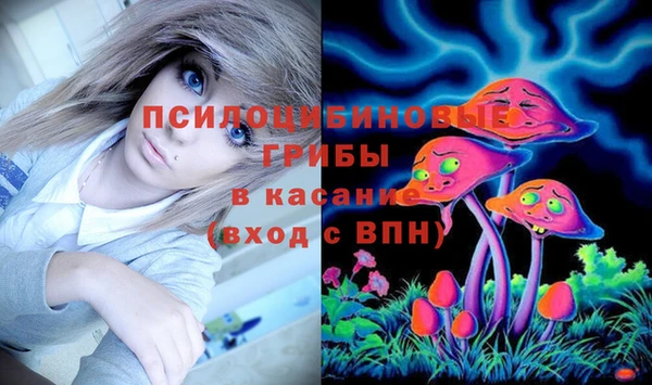 бутират Осинники