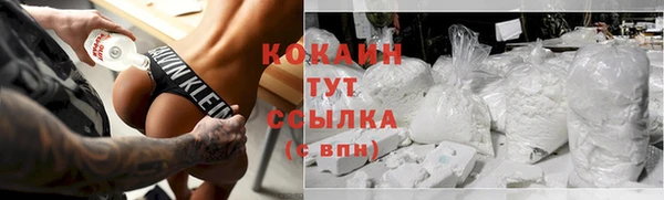 сатива Няндома