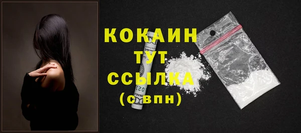 сатива Няндома