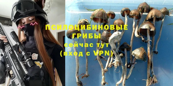 сатива Няндома