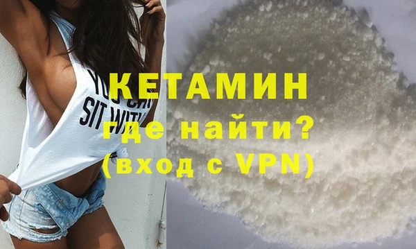 сатива Няндома