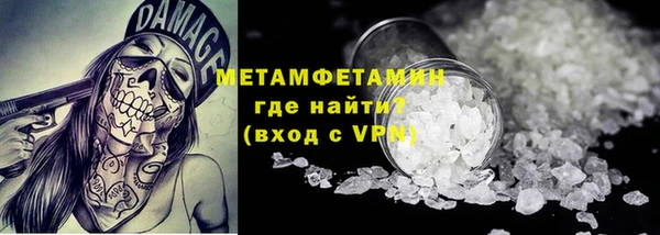 сатива Няндома