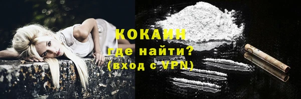 сатива Няндома