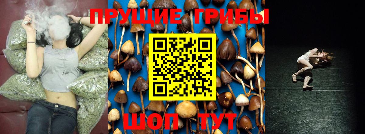 Псилоцибиновые грибы Cubensis  Вход с VPN  купить наркотики цена  Тара 
