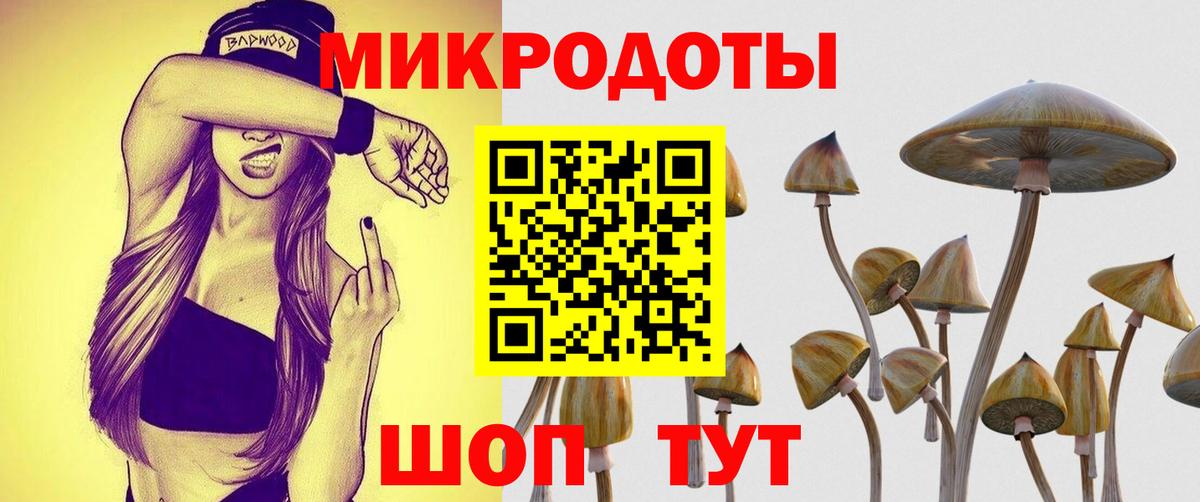 Галлюциногенные грибы Cubensis Тара