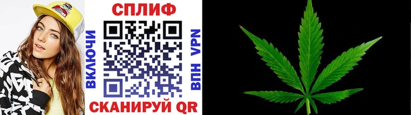 маркетплейс Telegram  ОМГ ОМГ маркетплейс  Тара  купить закладку  МАРИХУАНА White Widow 